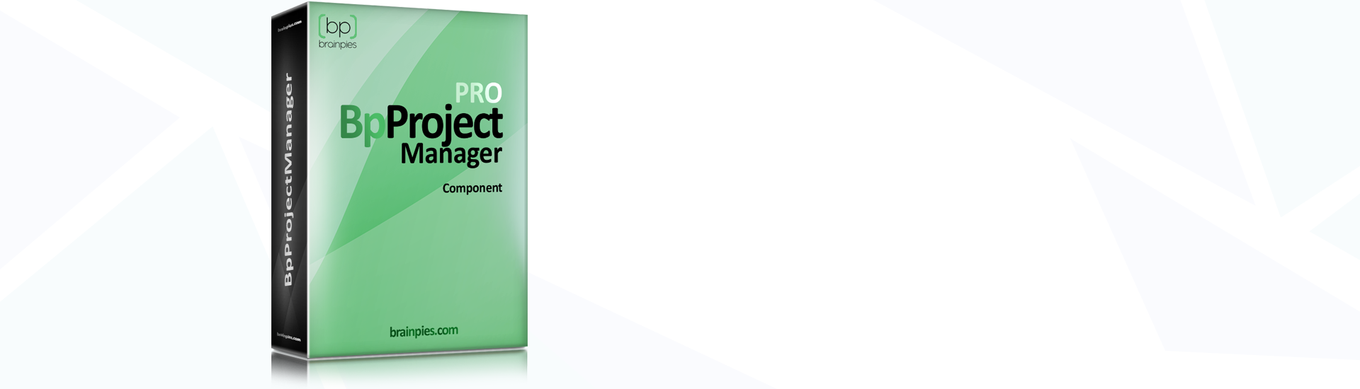 Bp Project & Budget Manager